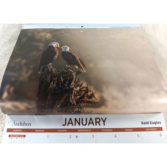 Audubon Society 2024 Wall Calendar 12 Months Protecting Birds and Nature - Picture 2 of 12